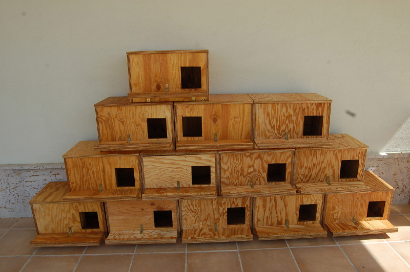 Algunas de las cajas nido para rapaces construidas por los jóvenes participantes en el campo de trabajo internacional de Villalar de los Comuneros (Valladolid). Foto: GREFA.
