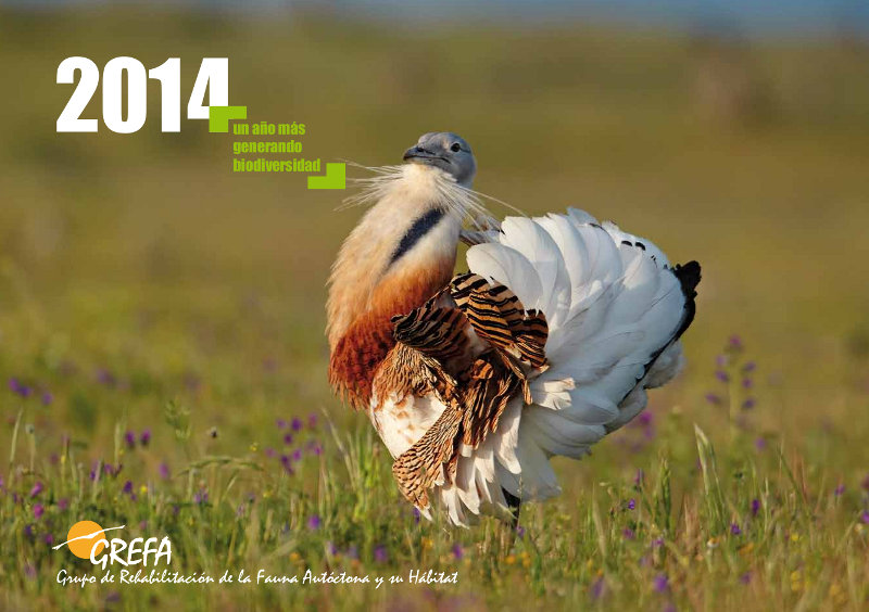 Portada calendario GREFA-2014