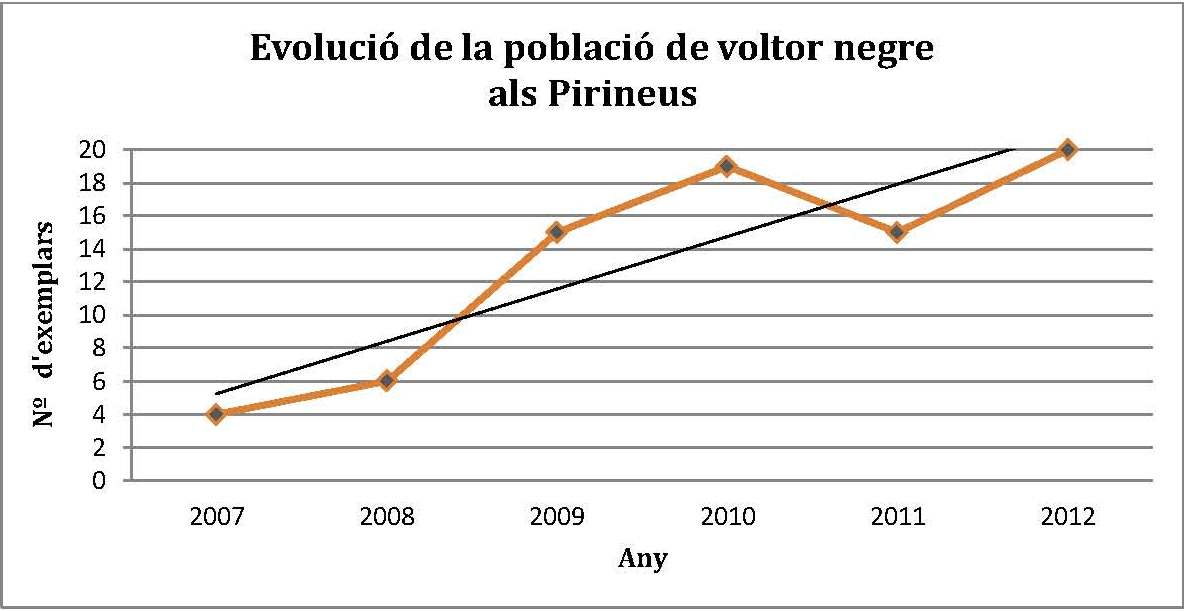 Evolución de la población de buitre negro en los Pirineos