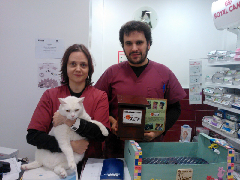 Patricia y Javier, junto con Mayo, su gran gato blanco, posan con la hucha “caja nido” donde los clientes de Quevedog podrán depositar sus donativos para GREFA.