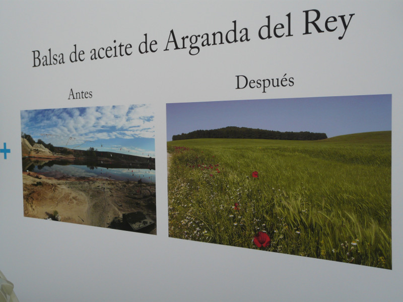 Panel sobre la Laguna del Aceite de Arganda del Rey (Madrid) que se exhibe en CONAMA 2014. Foto: GREFA.