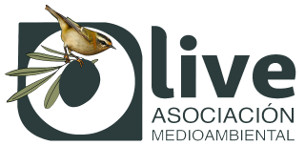 Logotipo de la Asociación Medioambiental O-Live.