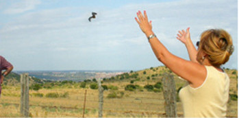 Luz García Juan, directora médica de Clínica Orel, libera un ave recuperada en GREFA.