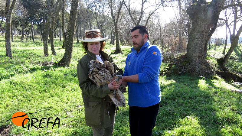 Juan José Iglesias (biólogo de GREFA) entrega el Búho a Victoria Urquijo.