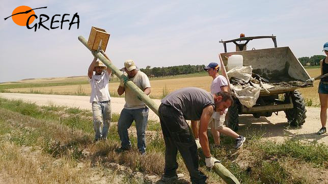 Colocación de postes y cajas nido con voluntarios en una de las zonas afectadas por las plagas de topillo.