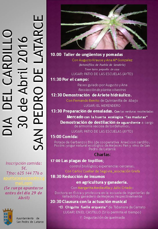 Cartel del Día del Cardillo (30 de abril / San Pedro de Latarce, Valladolid). 