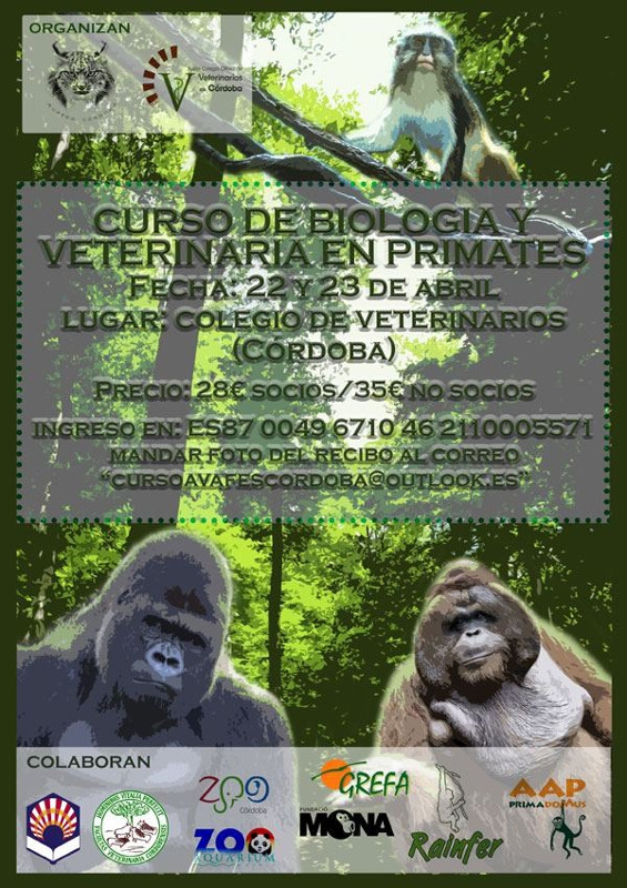 Curso en Córdoba para un primer acercamiento a los primates