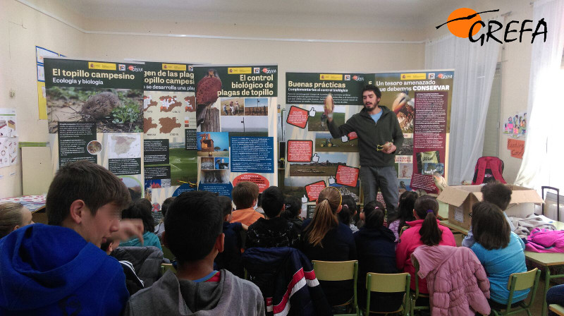 Un biólogo de GREFA expica a unos escolares el proyecto de control biológico del topillo, con los paneles de la exposición como fondo.