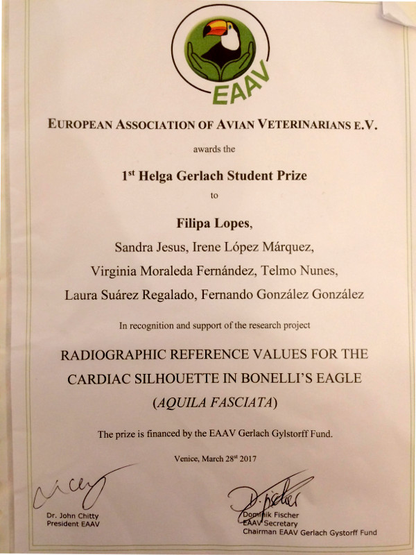 Diploma del premio para estudiantes concedido a Filipa Lopes por el trabajo que desarrolló en GREFA con el águila de Bonelli o perdicera.