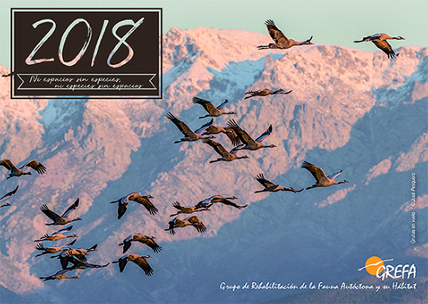 Portada del Calendario 2018 de GREFA, con una fotografía de grullas en vuelo de José Pesquero.