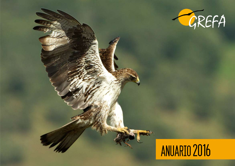 Portada del Anuario 2016 de GREFA, con una fotografía hecha por Alfonso Roldán de un águila perdicera o de Bonelli con una presa en las garras.