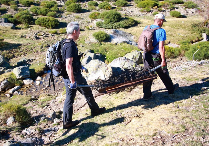 Dos voluntarios transportan una de las alambradas recogidas en la sierra de Guadarrama.