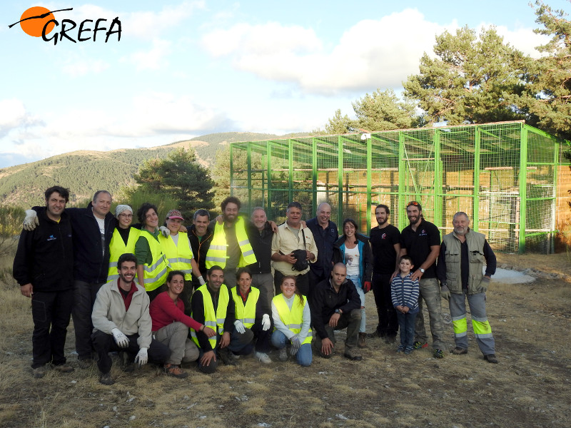 Foto de grupo de algunos voluntarios y trabajadores de GREFA que se lo curraron en el Día Internacional de los Buitres, delante del jaulón de aclimatación de buitres negros de Huerta de Arriba (Burgos).