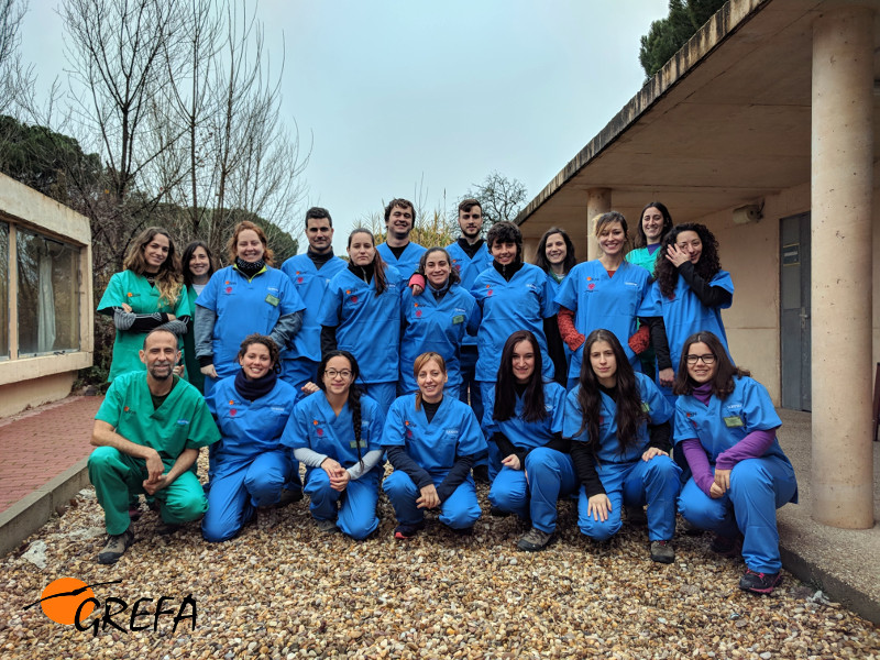Foto de grupo de los alumnos del curso (en uniforme azul) y del equipo veterinario de GREFA (en uniforme verde). 