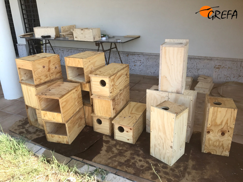 Algunas de las cajas nidos para rapaces depredadoras de topillos ya construidas por los voluntarios del campo de trabajo de Villalar de los Comuneros (Valladolid).