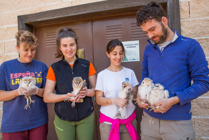 Integrantes del centro de cría de especies amenazadas de GREFA, con los cinco pollos de lechuza destinados a la Universidad Complutense de Madrid (UCM).