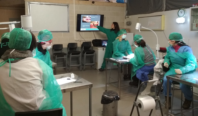 La veterinaria de GREFA Irene López se dirige a los alumnos del curso de técnicos de centros de recuperación de fauna durante una clase en la sala de necropsias del hospital de fauna de GREFA.