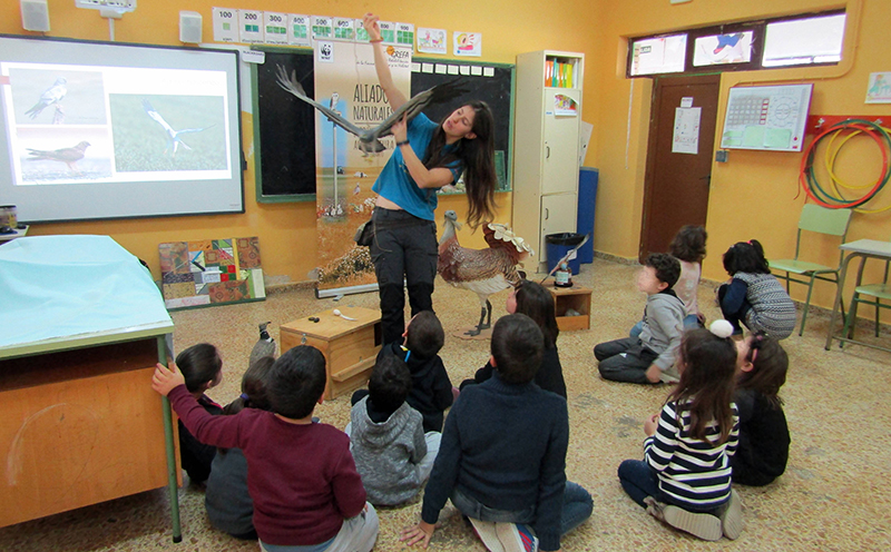 Una educadora de GREFA en un aula del colegio Carlos Casado del Alisal (Villada, Palencia).