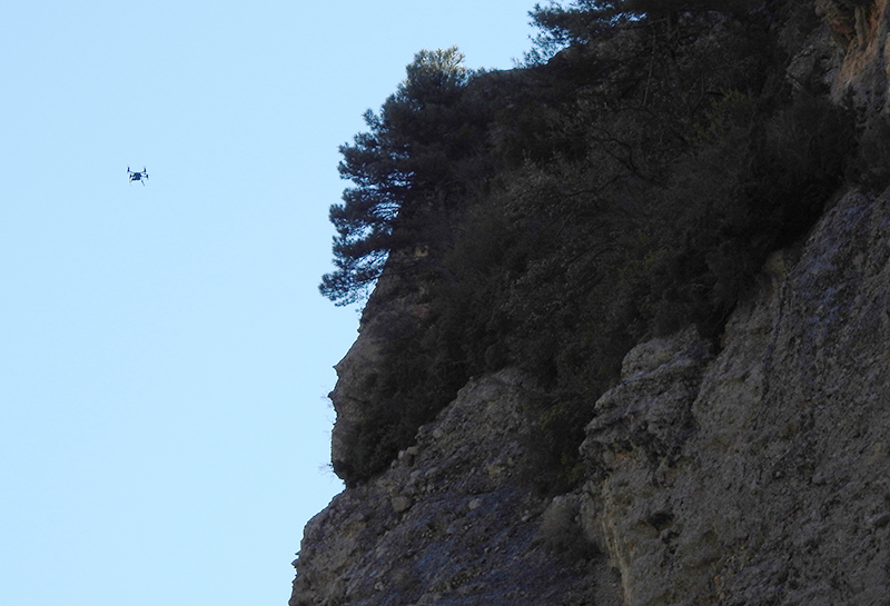 Un dron se aproxima al acantilado rocoso donde estaba el buitre negro.