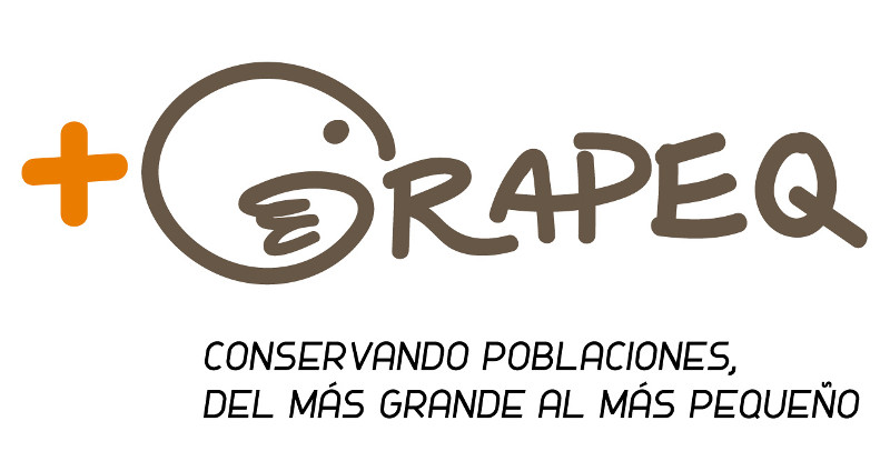 Diseño de Natalia Aires elegido como logotipo del proyecto +GRAPEQ.