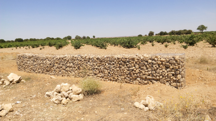 Muro de piedra en el entorno del viñedo, construido como refugio de biodiversidad