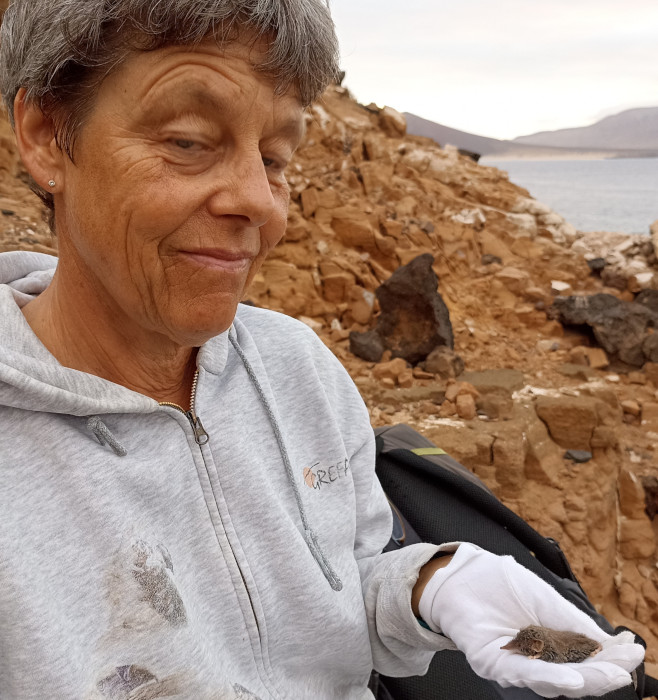 Claudia Schuster, bióloga de GREFA, con una musaraña canaria en la mano, en el islote de Montaña Clara. Al fondo se divisa la isla de La Graciosa.