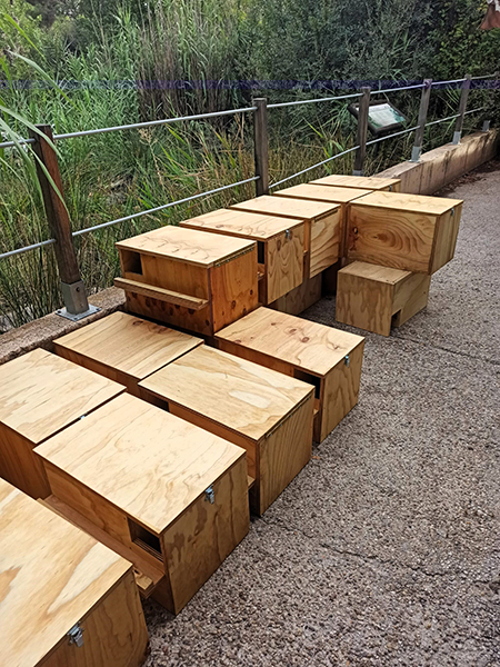 Cajas nido para lechuza listas para su instalación en Belinchón.