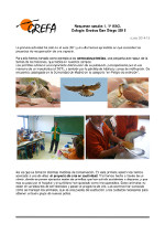Los alumnos de 1º de ESO, conocerán las medidas adoptadas para la conservación del cernícalo primilla y todo el esfuerzo dedicado a la cría en cautividad.