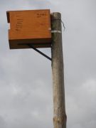 En esta caja nido instalada en el término municipal de El Oso (Ávila) se aprecia la firma de los niños que participaron en su colocación. Foto: José Antonio Montero.