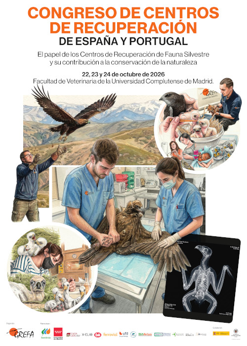 Cartel del Congreso de Centros de Recuperación de España y Portugal.