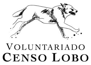 Logo Censo 2024 Negro 400x286