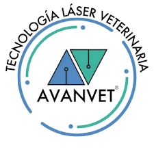 Logo Avanvet