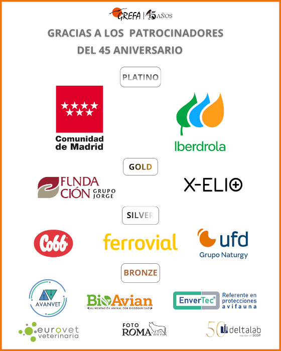 Patrocinadores 45 aniversario