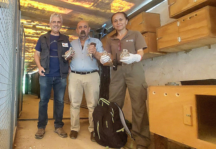 Imagen de familia previa a la introducción en el cajón de hacking. Foto Luis Jiménez / GREFA