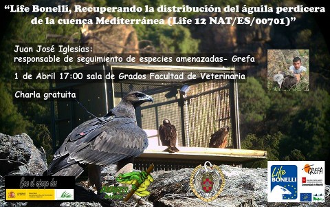 Life Bonelli, recuperando la distribución del águila perdicera de la cuenca mediterránea