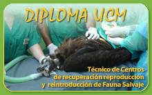 Curso técnico fauna salvaje