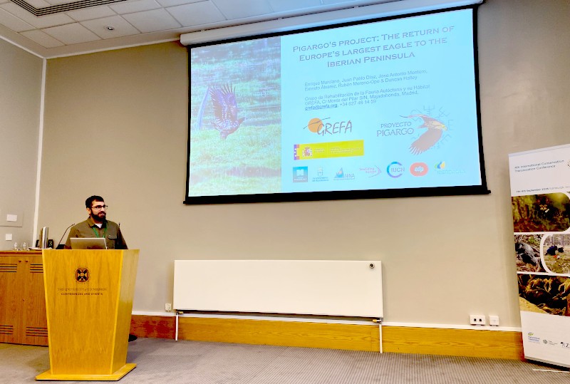 Intervención de Enrique Murciano sobre el proyecto de GREFA para la reintroducción del Pigargo en España..