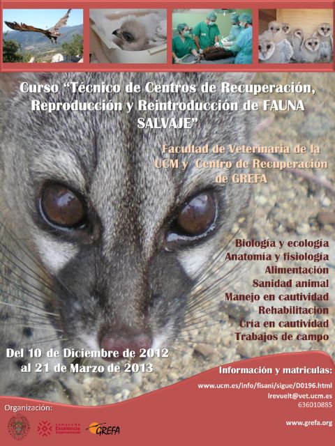 Curso Técnico de centros de recuperación 2012/13