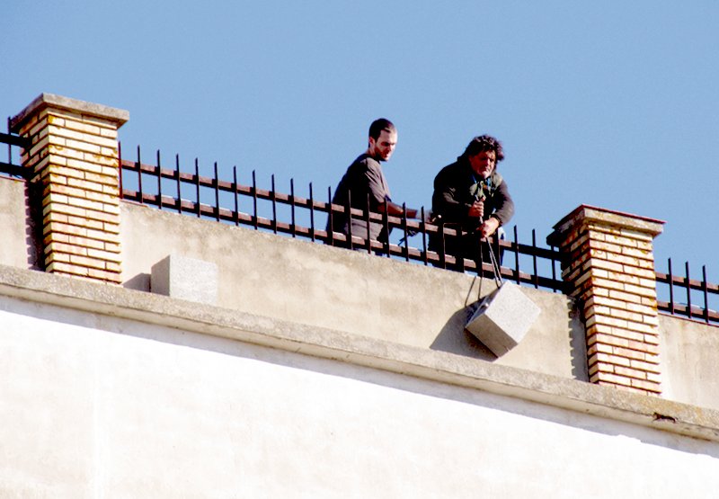 Adecuación de silos para la nidificación del cernícalo primilla dentro del proyecto "Corredores para el Primilla. Generando Biodiversidad"