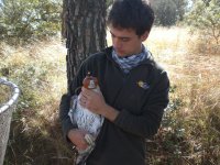 Chequeo de una perdicera adulta