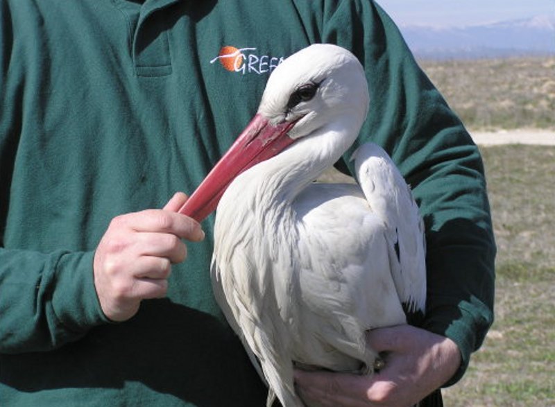 Equipo de rescate de fauna salvaje