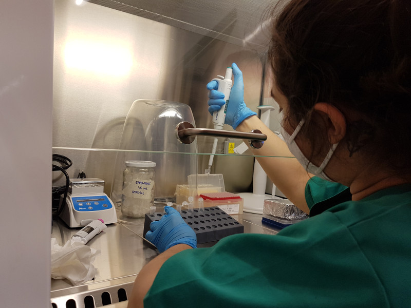 Veterinaria de GREFA preparando una PCR para detección de Trichomonas en muestras recogidas de águilas de Bonelli.