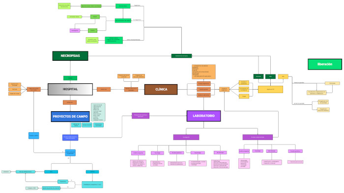 oganigrama hospital fauna