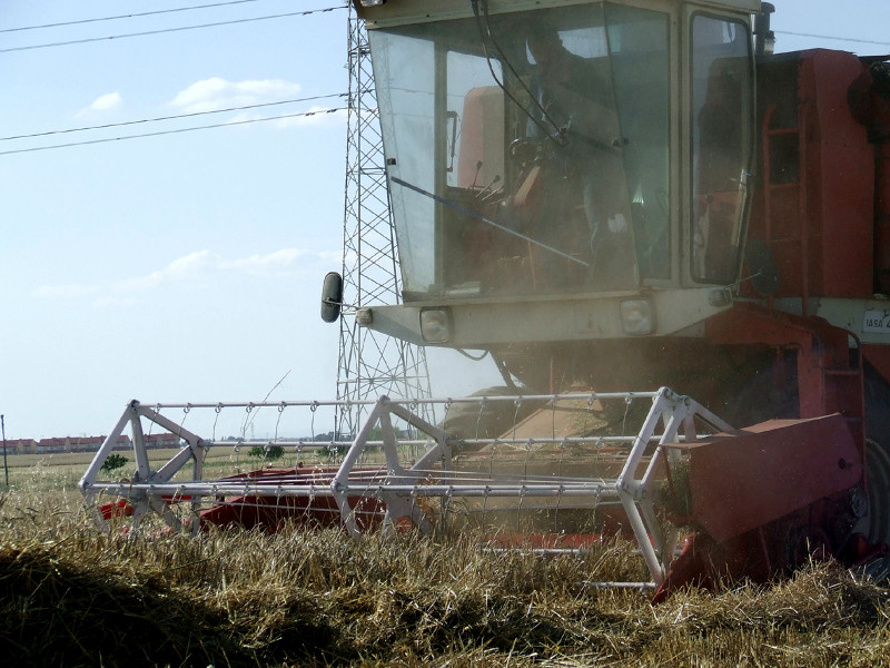 Máquina cosechadora en plena tarea en un secano de una zona madrileña donde cría el aguilucho cenizo.