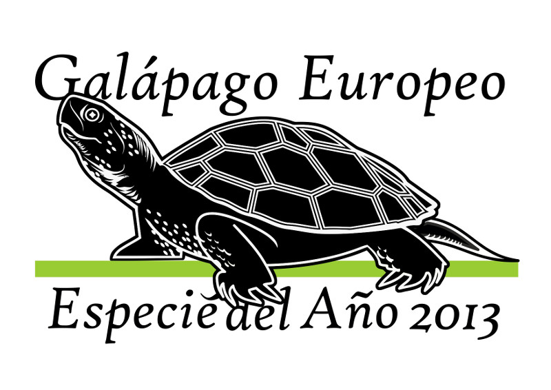 Logotipo lanzado por la Asociación Herpetológica Española para la “Especie del Año” en 2013.