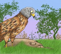 Dibujo de un milano real realizado por Ana Pisa para el cuadernillo sobre la especie publicado por GREFA.