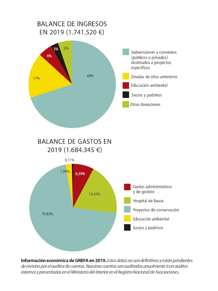 Balance Ingresos Gastos 2019