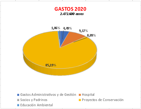 gastos 2020