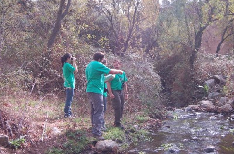 Voluntarios de GREFA