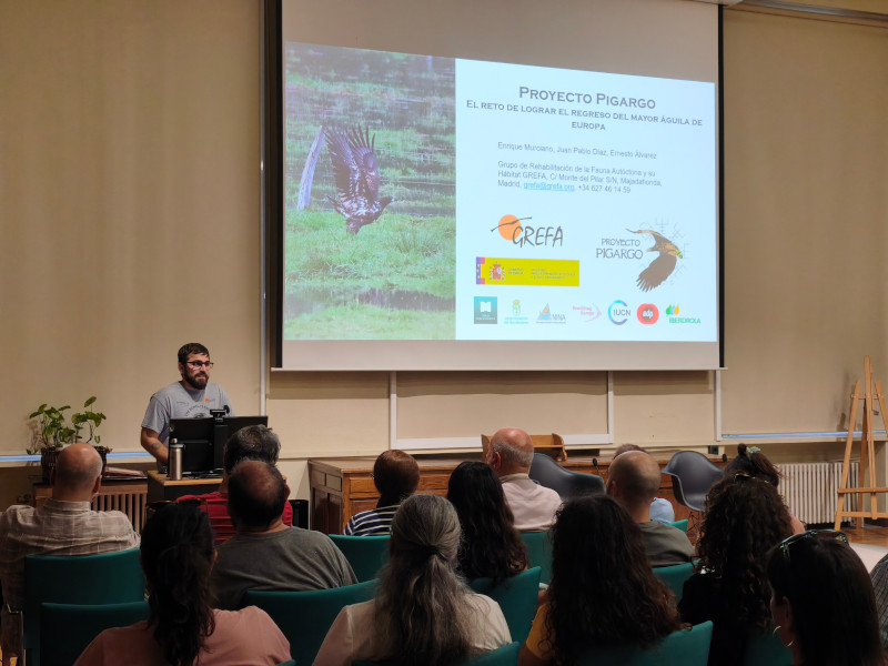 Enrique Murciano, técnico del Proyecto Pigargo de GREFA, narra su evolución en el Museo de Ciencias Naturales. 